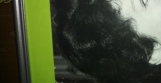 Photo de profil de Aline Castanera