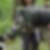 Photo de profil de Annie Sauvaget