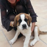 Photo de profil de Barge Christine