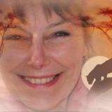 Photo de profil de Sylvaine Roux