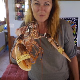 Photo de profil de Pascale Priou