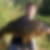 Photo de profil de Nicolas Humbert