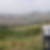 Photo de profil de Romain Boisson