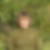 Photo de profil de Martine Riou