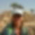 Photo de profil de Marie Claude Moreno