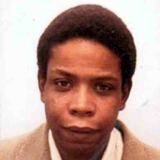 Photo de profil de Laurent Charles Elie Nelson