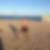 Photo de profil de Corentin Bleuse