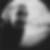 Photo de profil de David Poulain