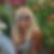 Photo de profil de Martine Berrtoncini