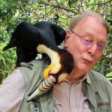 Photo de profil de Pierre Goffinet
