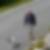 Photo de profil de Christophe Le Cloerec