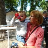 Photo de profil de Francine Guilbert