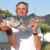 Photo de profil de Alain Thevenot