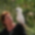 Photo de profil de Chauvron Annie