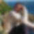 Photo de profil de André Ponsonnaille