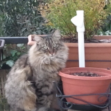 Photo de profil de Claudine Put-Lienard