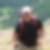 Photo de profil de Claude Draps