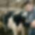 Photo de profil de Chateau Emmanuel