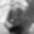 Photo de profil de Ludovic Bertrand