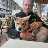 Photo de profil de Gregory Denaux