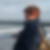 Photo de profil de Catherine Legros