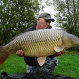 Photo de profil de Didier Vilcot