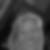 Photo de profil de Elisabeth Delachaux