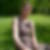 Photo de profil de Elisabeth Heraude