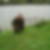 Photo de profil de Jean Luc Joly