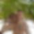 Photo de profil de Fabien Thiery
