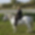 Photo de profil de Dominique Turenne
