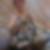 Photo de profil de Nelly Gregoire