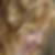 Photo de profil de Chantal Guillin Capelle