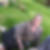Photo de profil de Emmanuelle Lavy