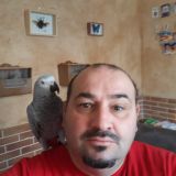 Photo de profil de Philippe Navarro