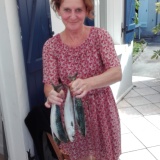 Photo de profil de Sandrine Chevalier Jegou