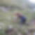 Photo de profil de Véronique Clos Versaille