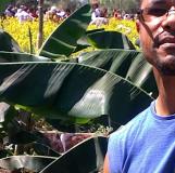 Photo de profil de Hugues Combet
