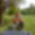 Photo de profil de Jacky Dom