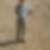 Photo de profil de Antoine Laporte Many
