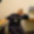Photo de profil de Didier Massy