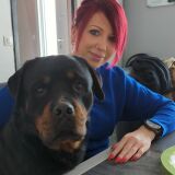 Photo de profil de Laetitia Roussel