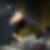 Photo de profil de Dominique Tournebize