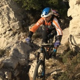 Photo de profil de Daniel Martin
