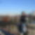 Photo de profil de Martial Dufils