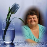 Photo de profil de Denise Ragot