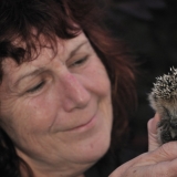 Photo de profil de Henriette Luce