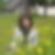 Photo de profil de Sylvie Forestier