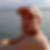 Photo de profil de Patrick Brienne