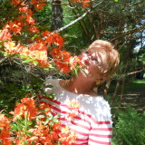 Photo de profil de Marie-Odile Foignant